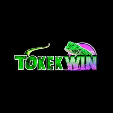 TOKEKWIN - Aplikasi Cek Tagihan Listrik Terbaik